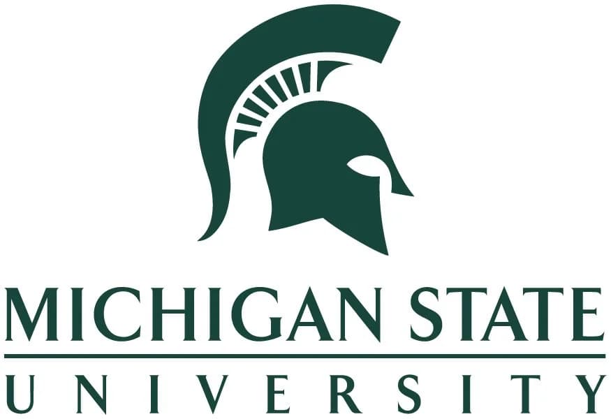 MSU Dementia Care and Support Lab